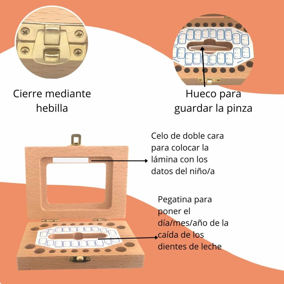regalo ratoncito perez niño 5 años